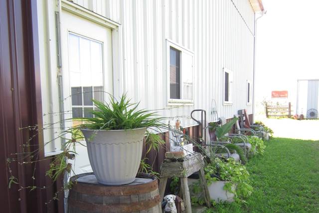 Yard
