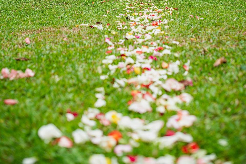 Garden wedding