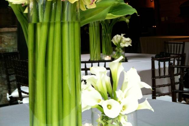 Floral Arangement