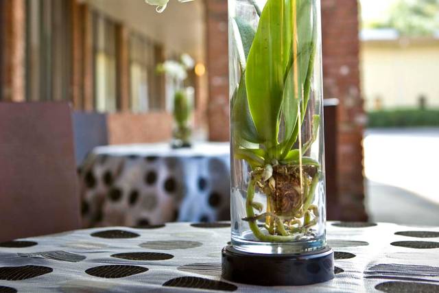 Floral Arrangement