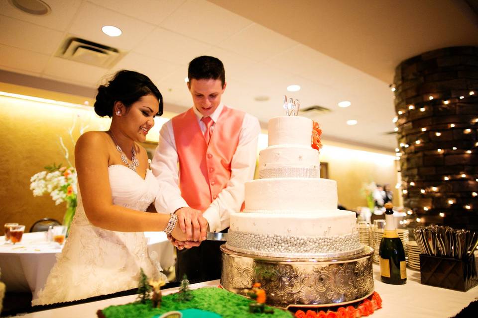 Couple with wedding cake