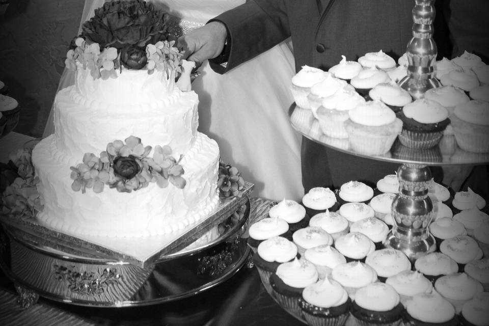 Couple with wedding cake