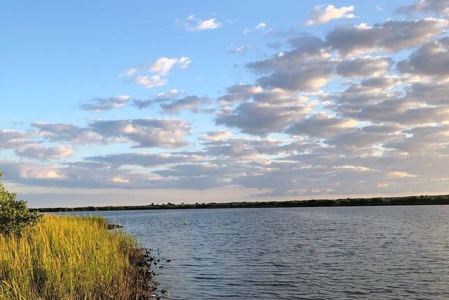 Anastasia State Park