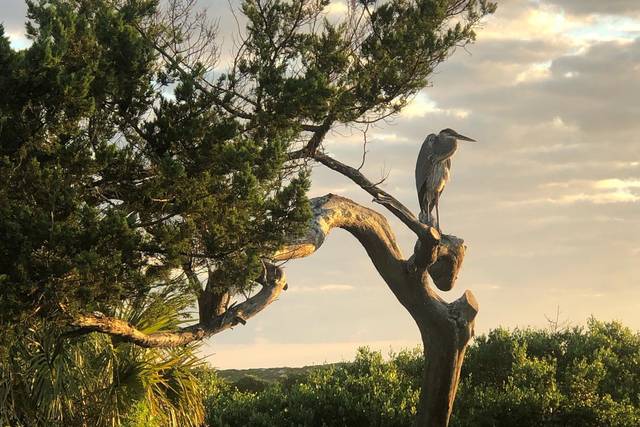 Anastasia State Park