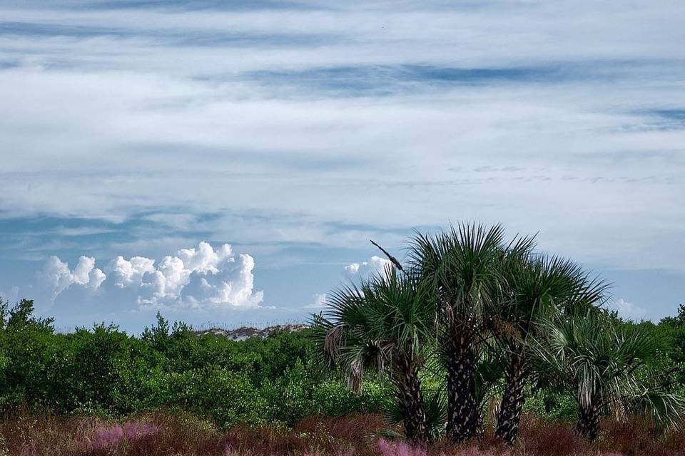 Anastasia State Park