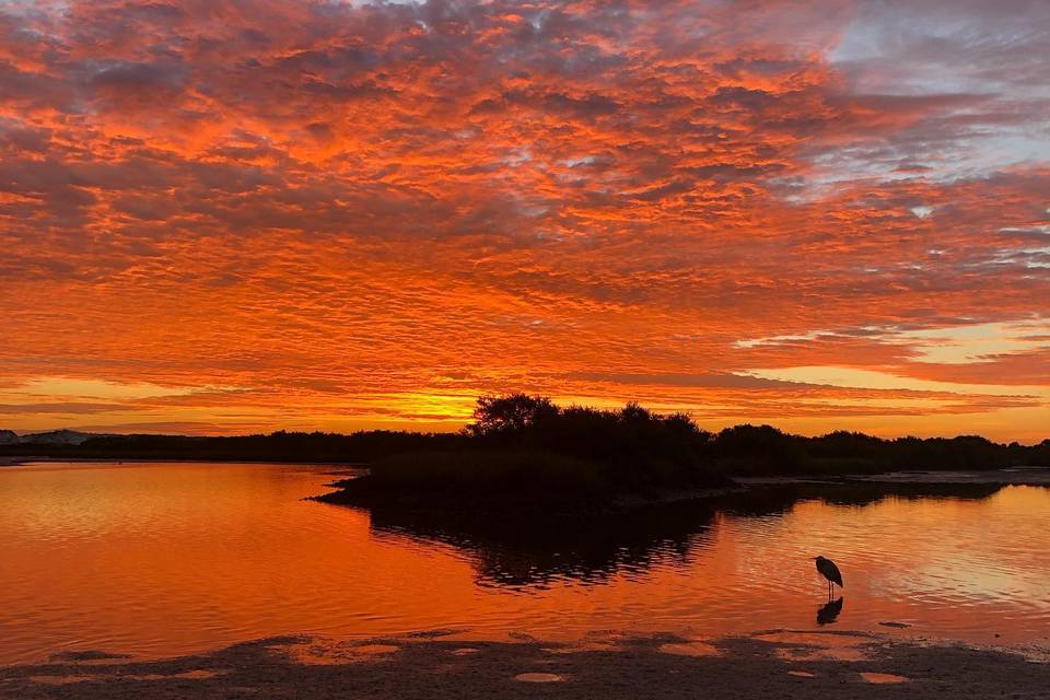 Anastasia State Park