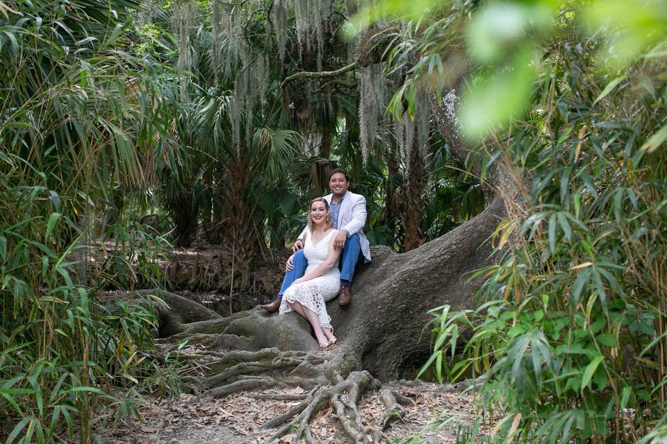 Bride and Groom
