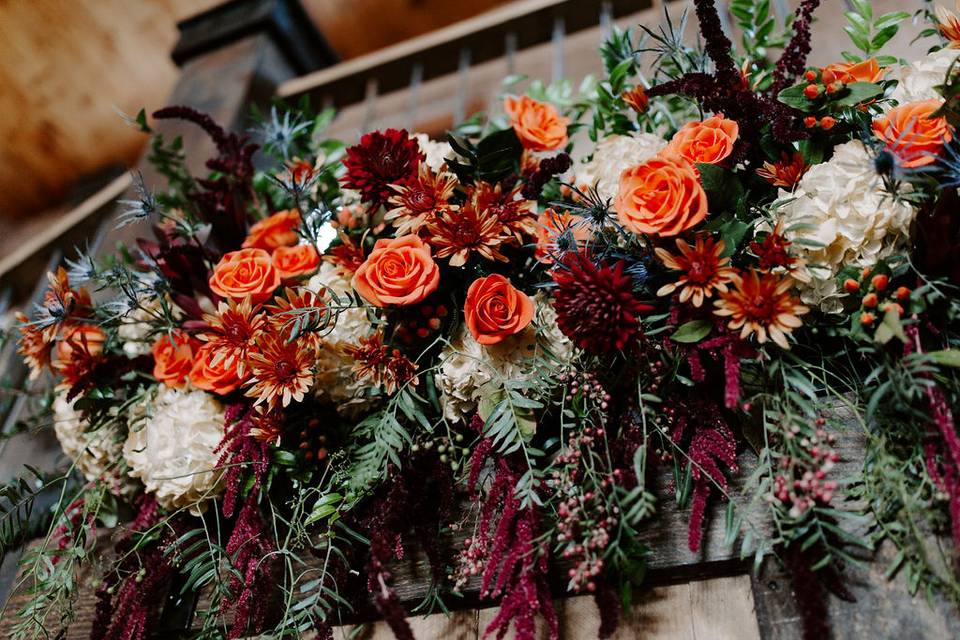 Orange flowers| Allie Chambers Photo