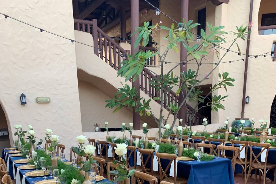 Linen, chair and dining rental