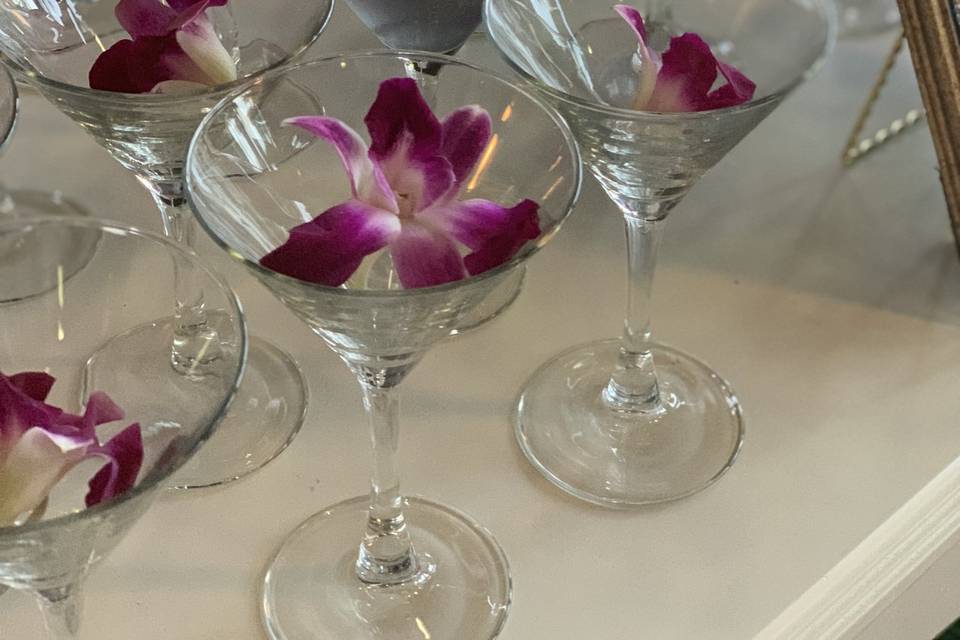 Welcome drinks