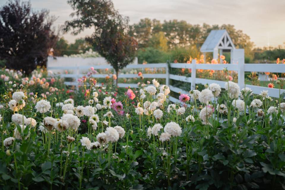 Kelly Jo PHotography