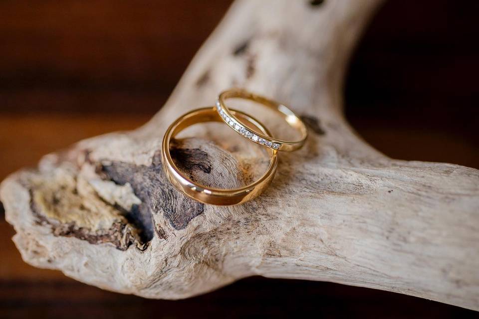 Snap Gen Studios: timeless wed