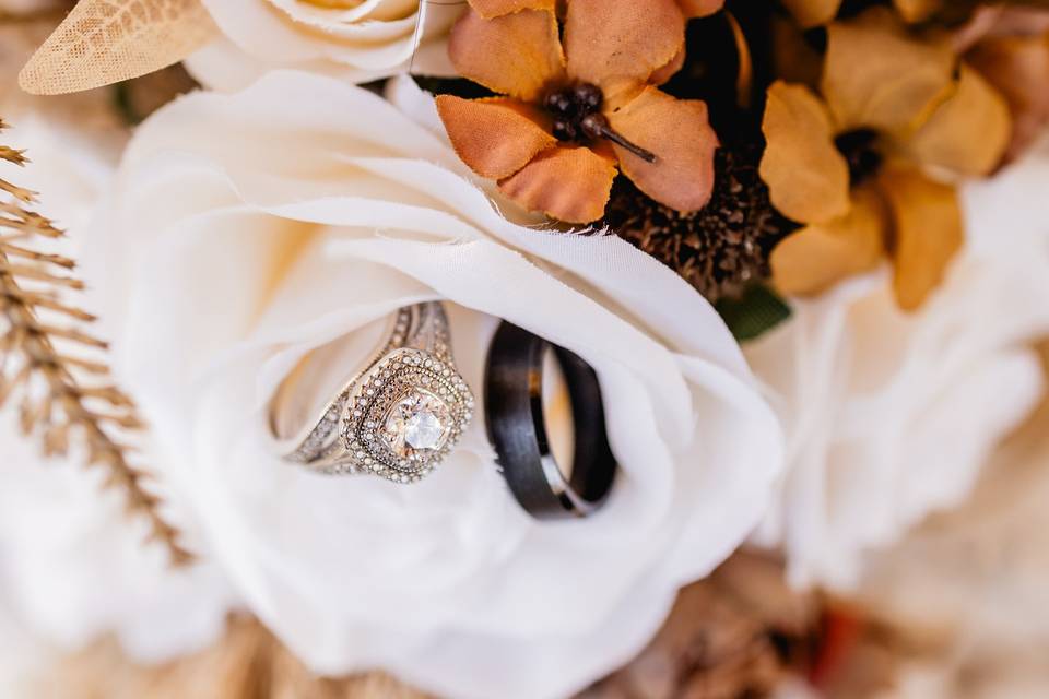 Snap Gen Studios: timeless wed