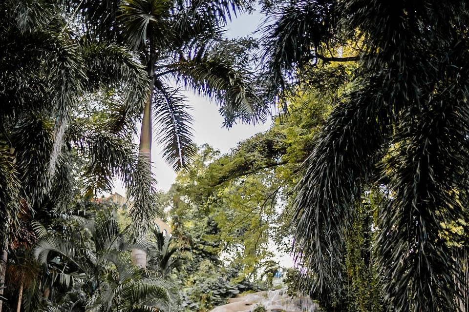 Snap Gen Studios: timeless wed