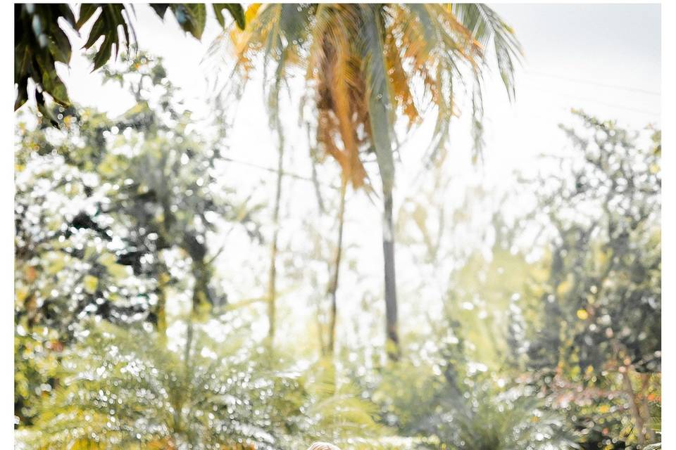 Snap Gen Studios: timeless wed