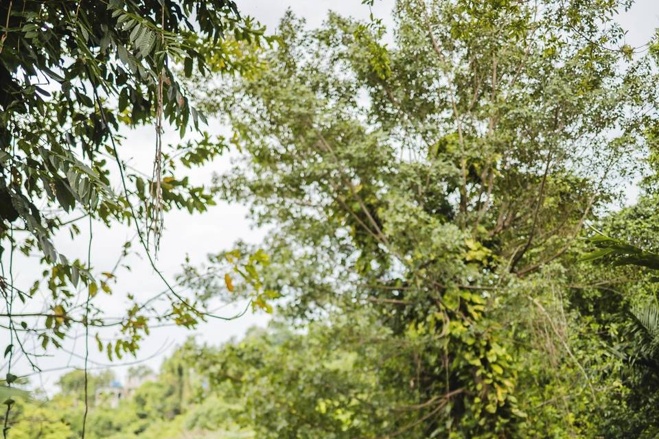 Snap Gen Studios: timeless wed