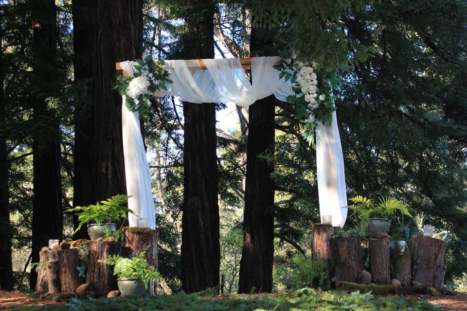 Redwood grove ceremony venue