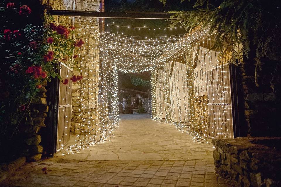 Fairy Light Tunnel