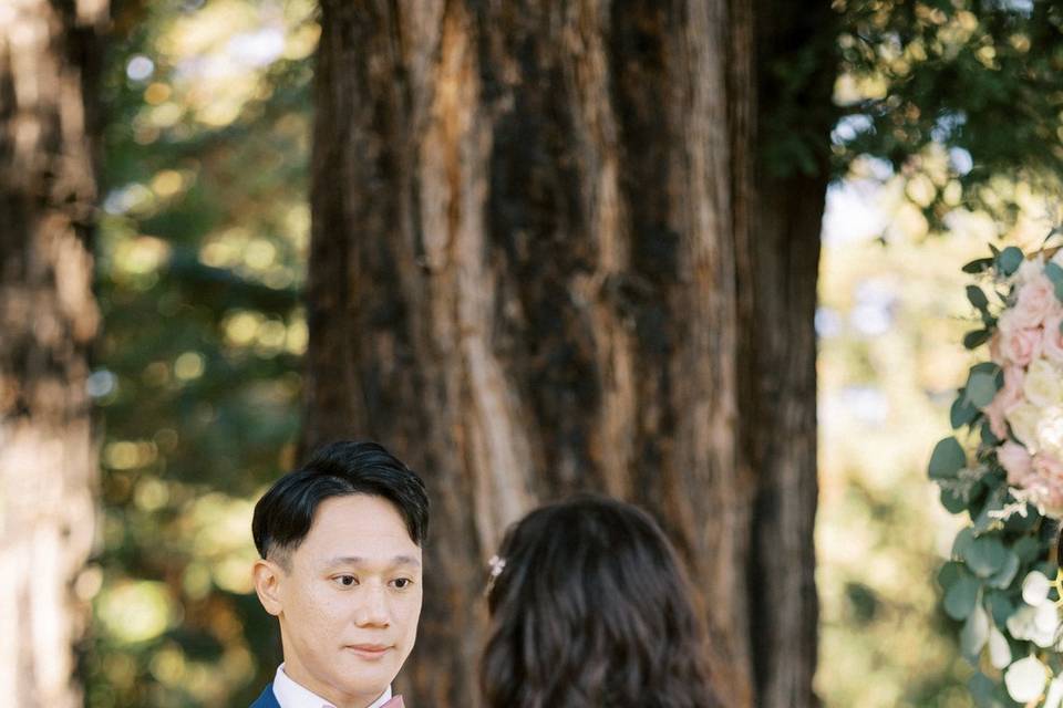 Redwood Grove Ceremony