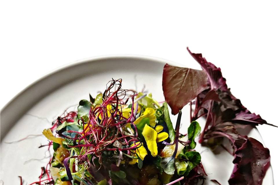 Beet Root Salad