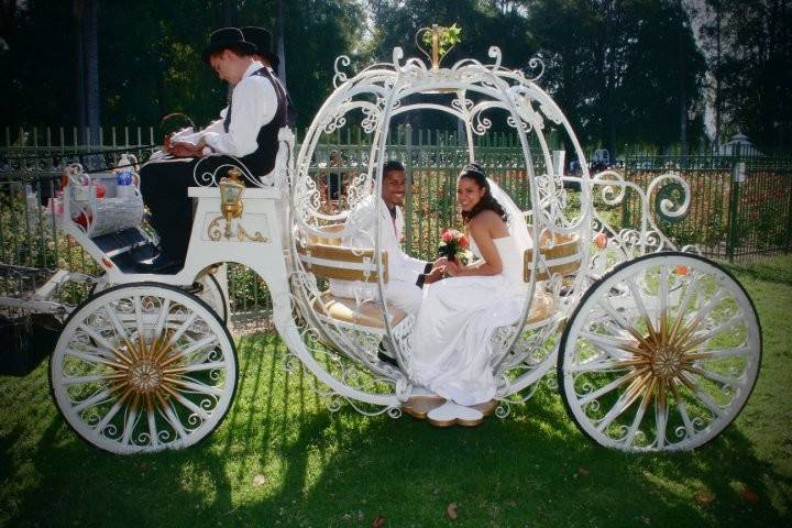 Couple's portrait