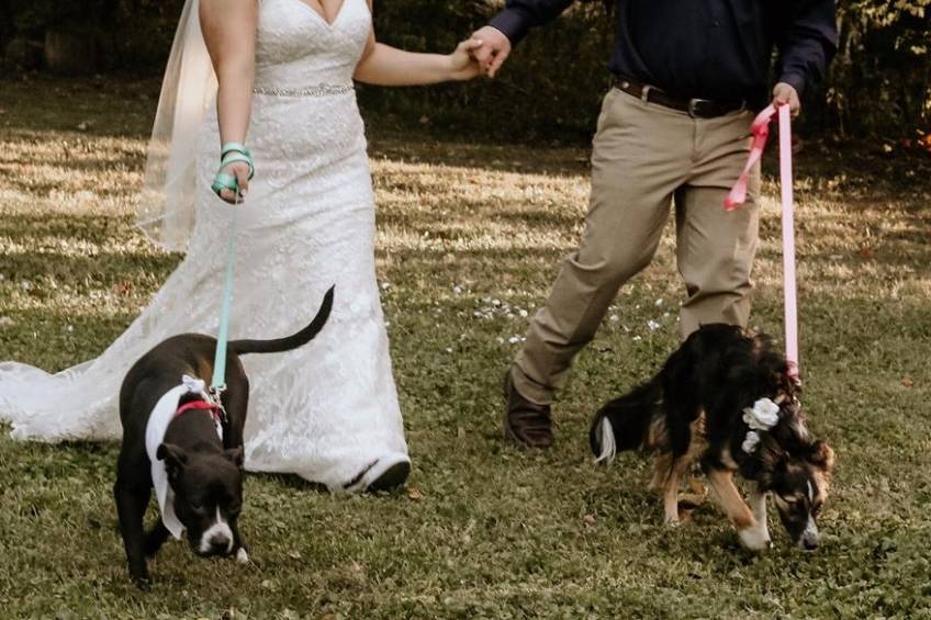 Ceremony with dogs