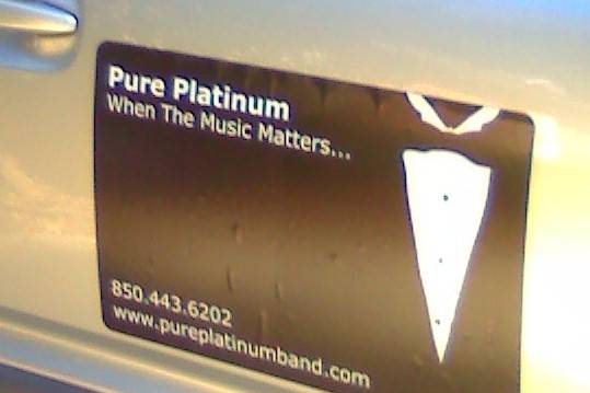 Pure Platinum Band