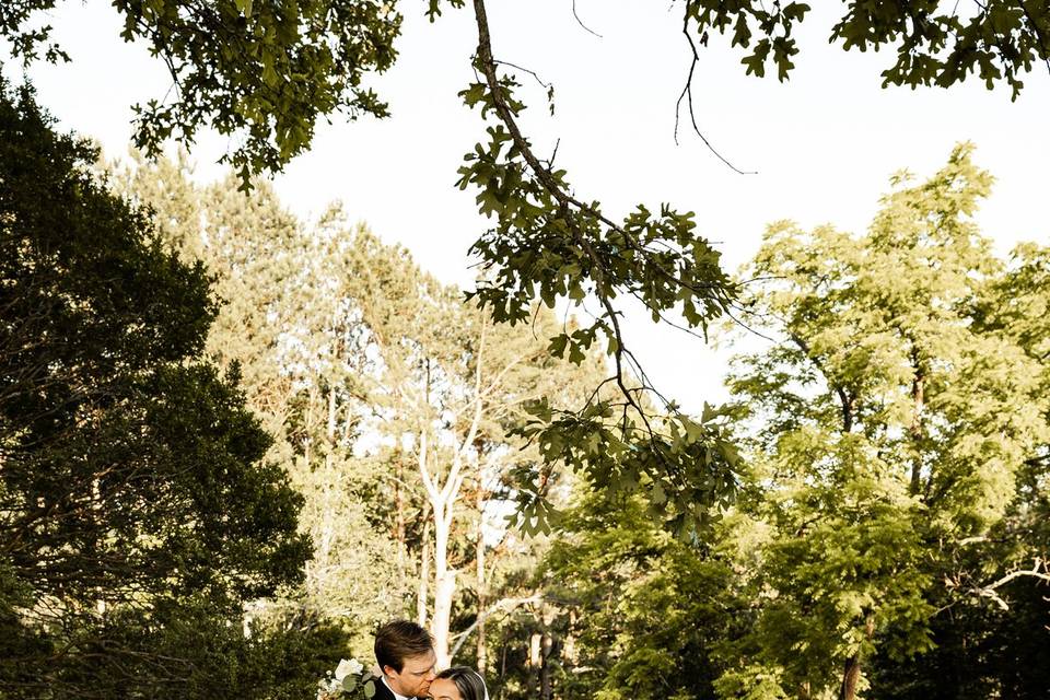Wedding Portrait