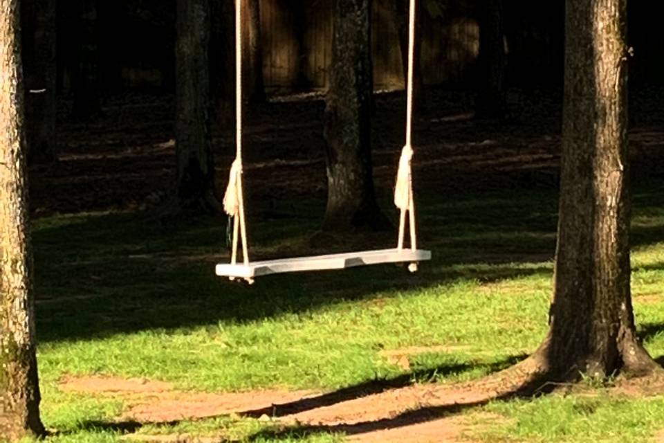 Swing