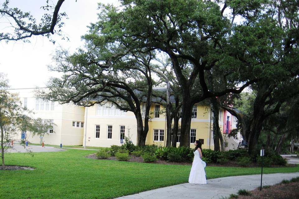 Lynn Meadows Discovery Center