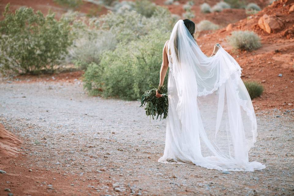 Valley of Fire Weddings, LV