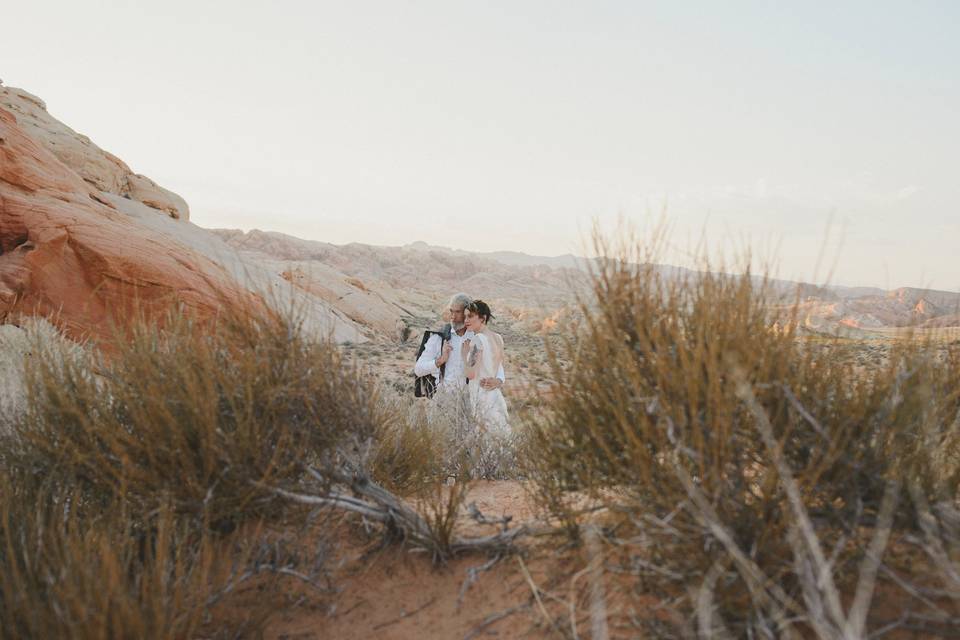 Desert Weddings, Las Vegas