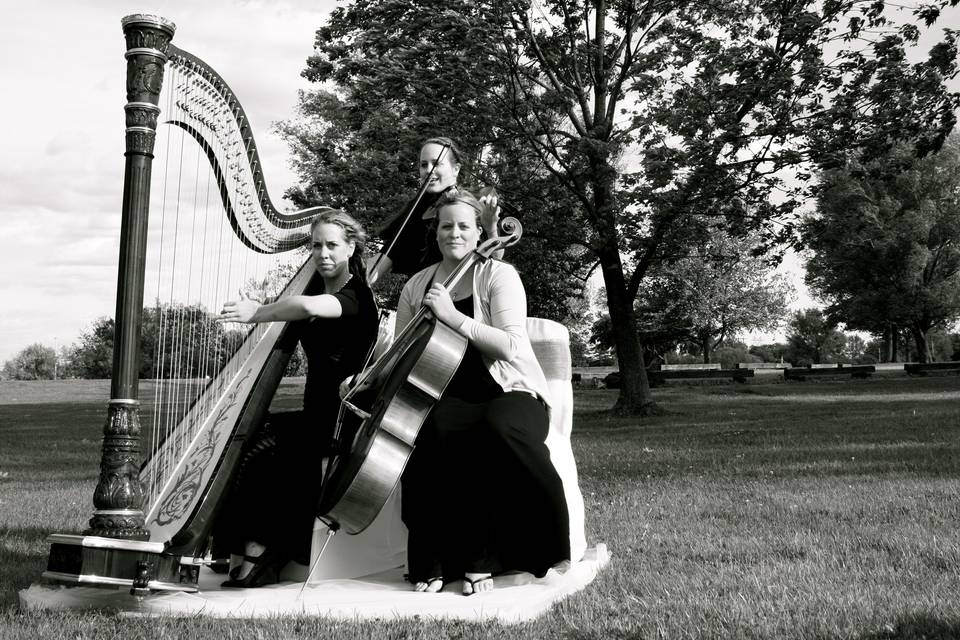 String trio