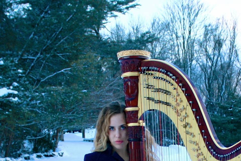 Harpist, Nichole Rohrbach McKe