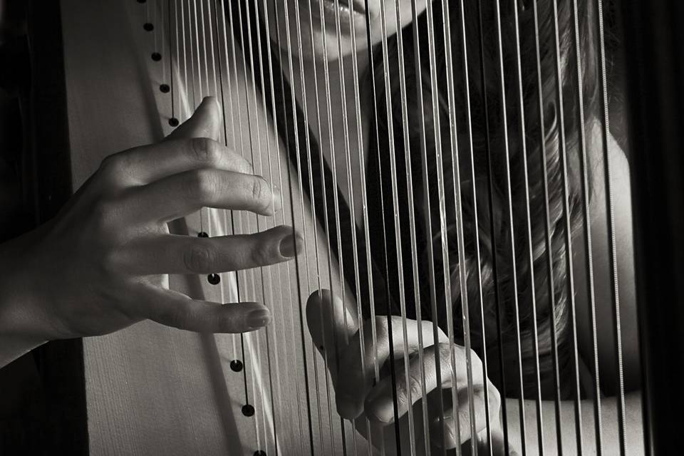 Playing the harp