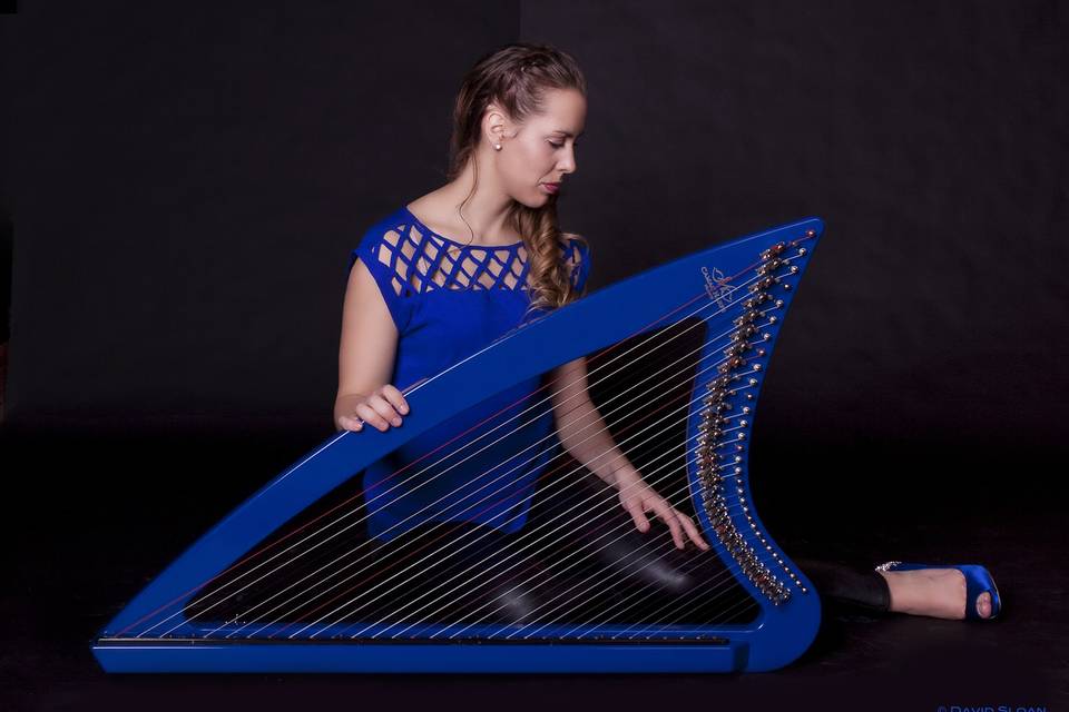 Blue harp