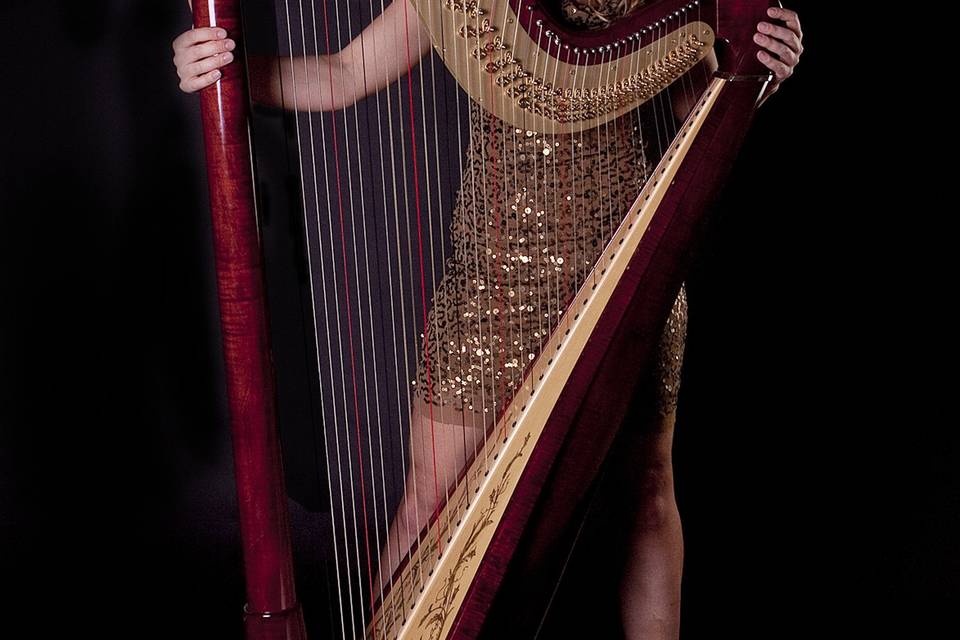 Harpist