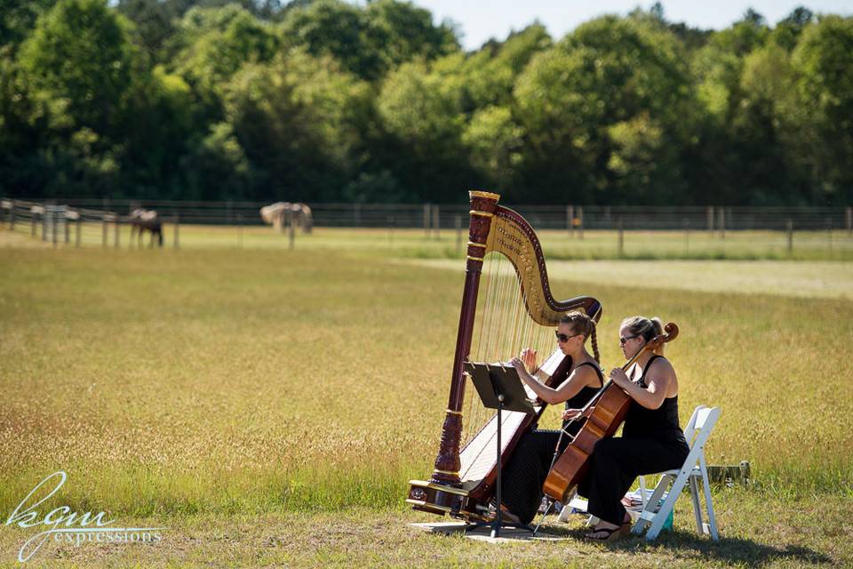 Harp, Nichole Cello, Noelle