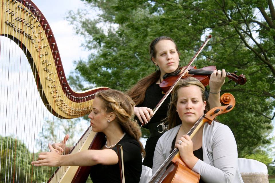 String Trio Harp & Soul