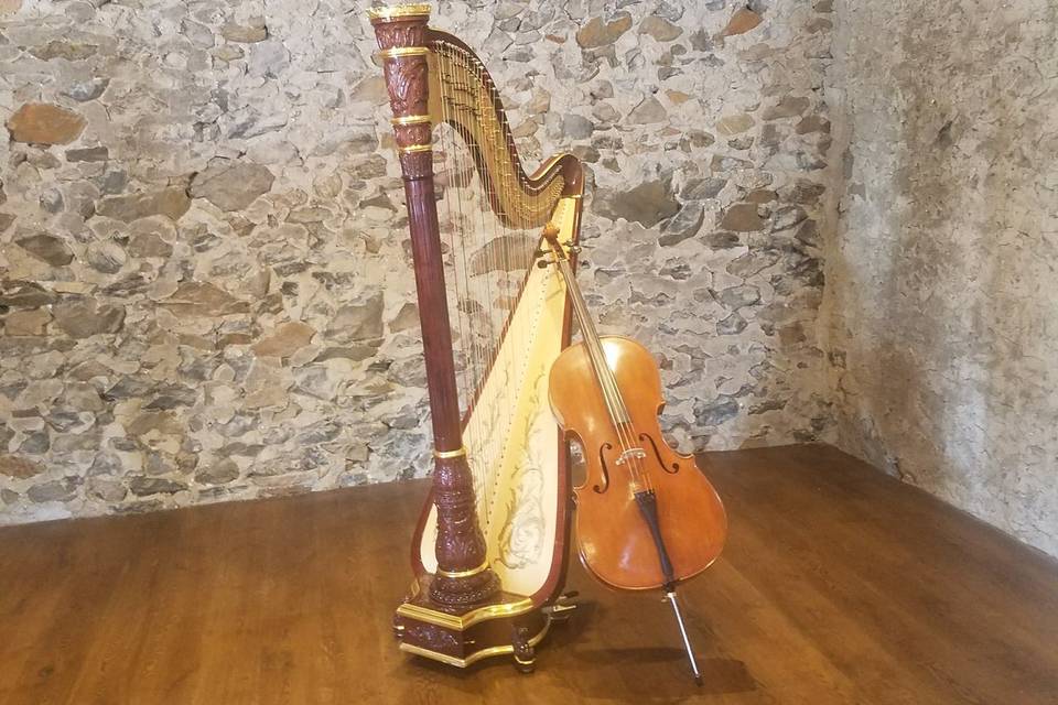 Excelsior Lancaster Harp Cello