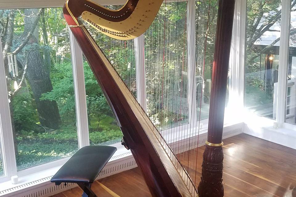 Pomme, Harp, Radnor, PA