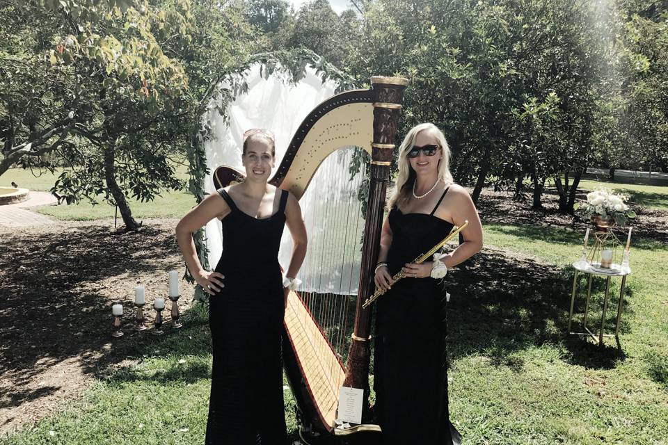 Flute and Harp duo