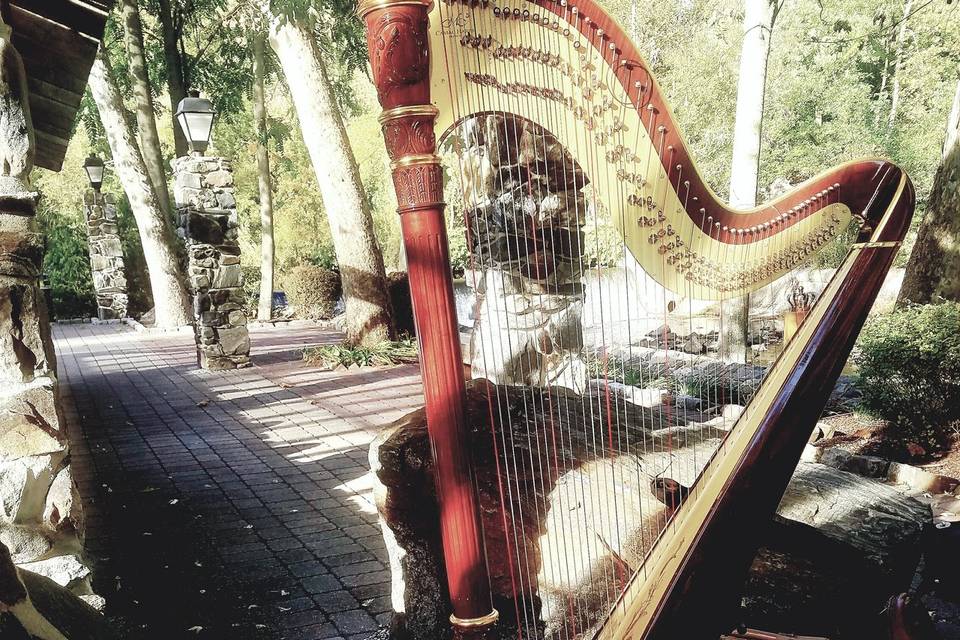 Harp and Violin Duo