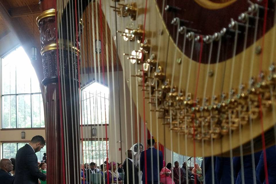 Harpist Atlanta, GA Wedding