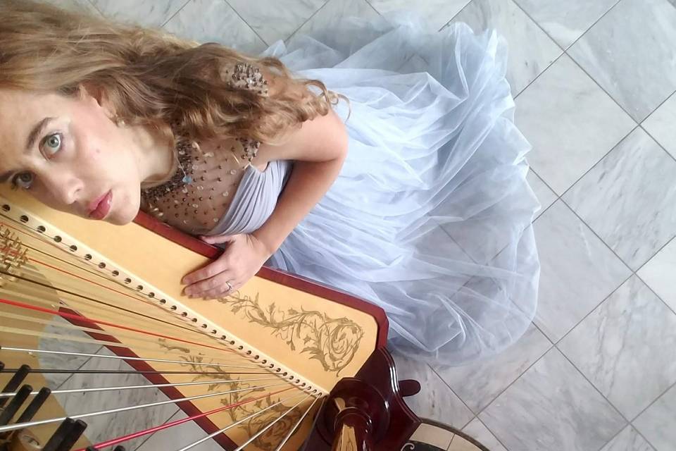 Photo Shoot Harp