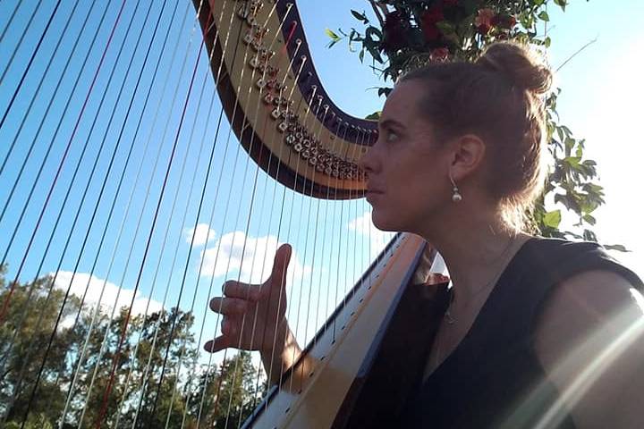 Alabama Wedding Harp