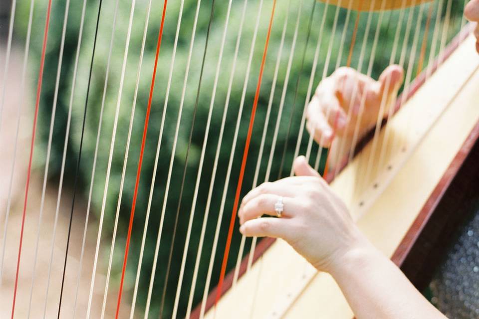 Harpist playing harp