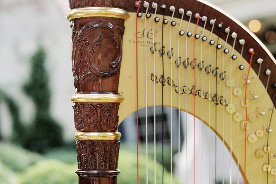 Harp Closeup