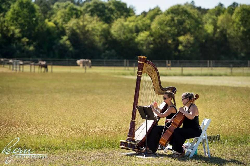 HArp and Cello Duo