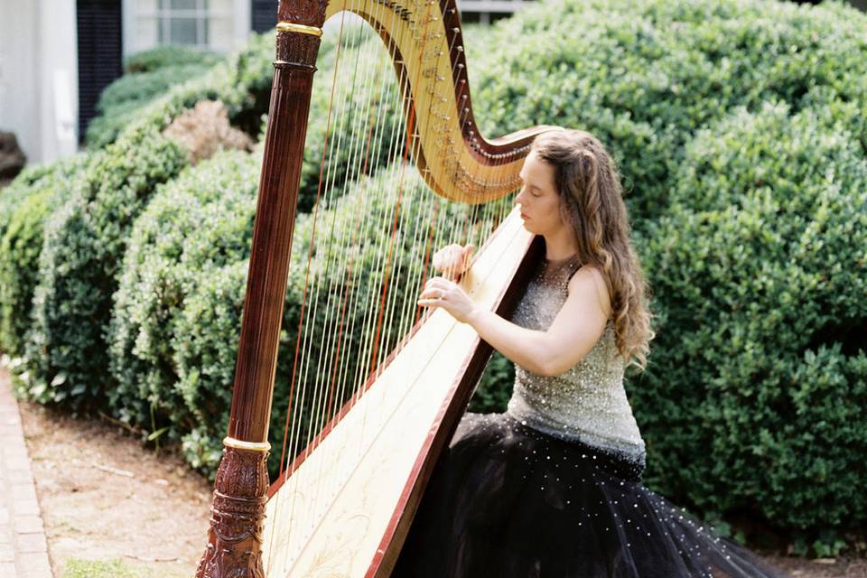 Wedding Harpist GA